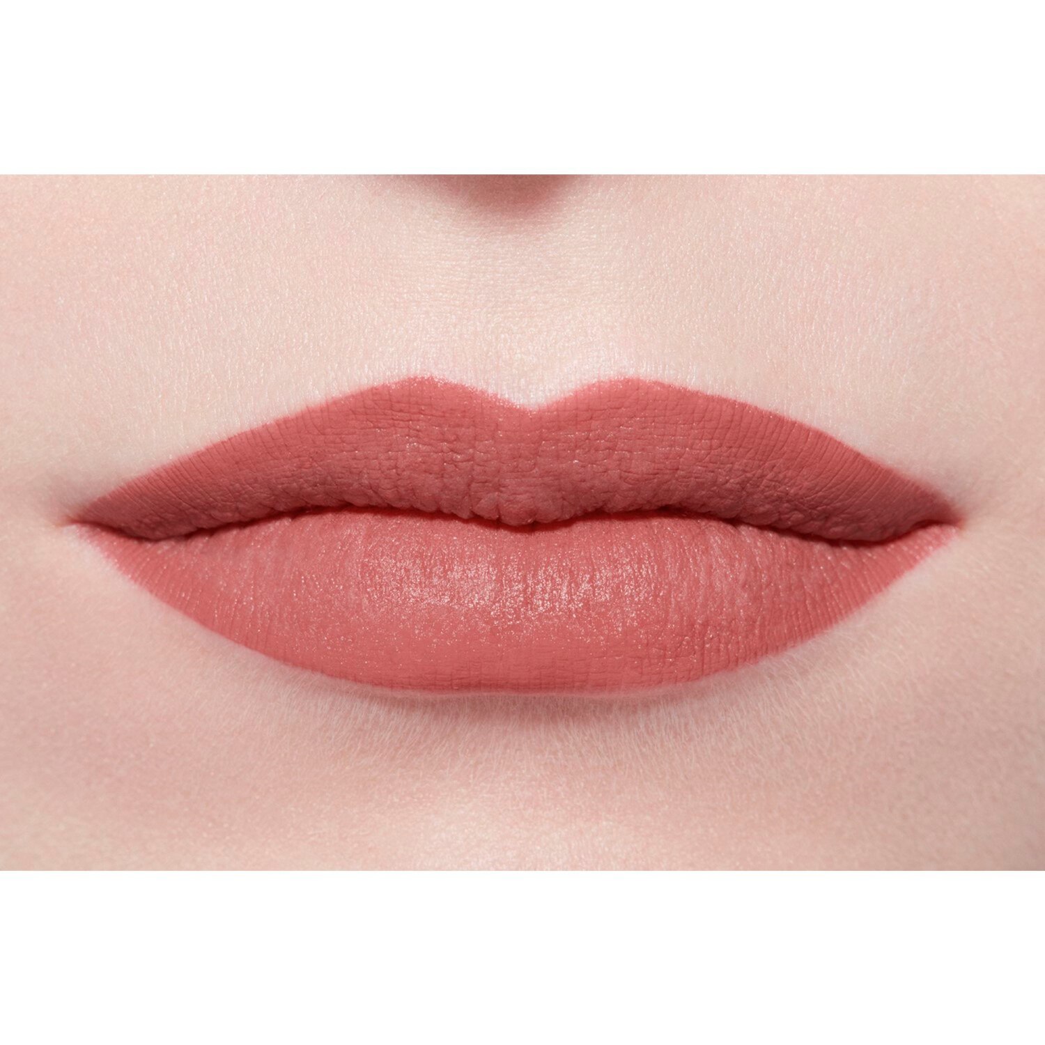 LA BARRA DE LABIOS ATERCIOPELADA LUMINOSA